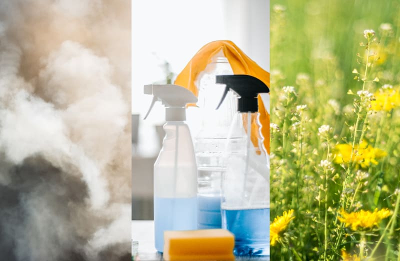 Collage of asthma triggers, including smoke, cleaning spray, and flowers. 