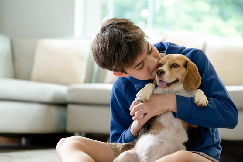 Child playing with his dog at home.
